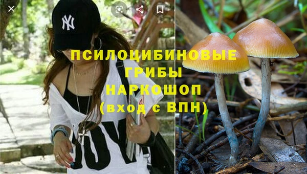 спиды Новокубанск