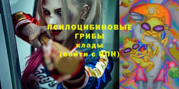 спиды Новокубанск