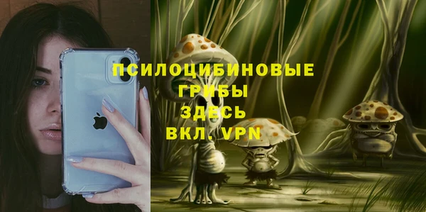спиды Новокубанск