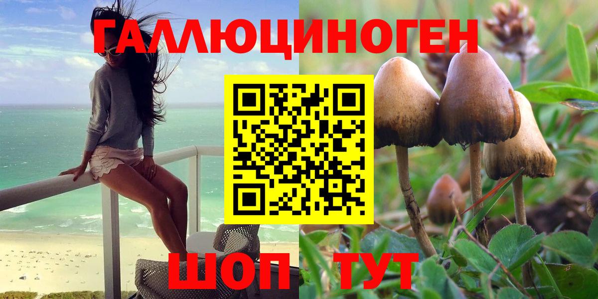Галлюциногенные грибы MAGIC MUSHROOMS  Вход с VPN  Псилоцибиновые грибы ЛСД  Бугуруслан 